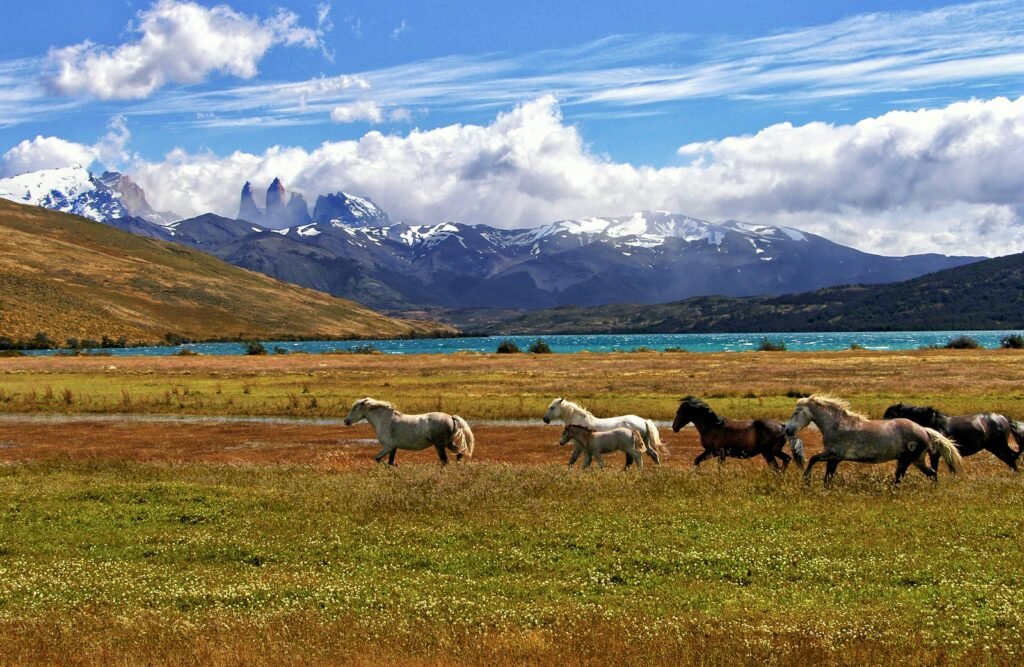  Carretera Austral, Chile